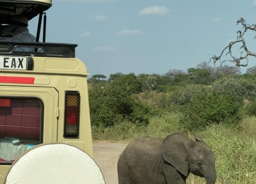 6 Day private Tanzania safari
