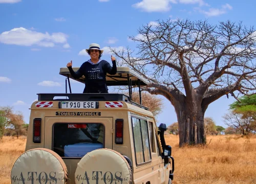 4 Days Tanzania Christmas Bush Safari
