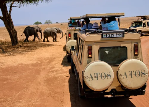 5 Days / 4 Nights Tanzania Safari