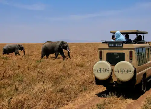 Ngorongoro Crater Day Trip