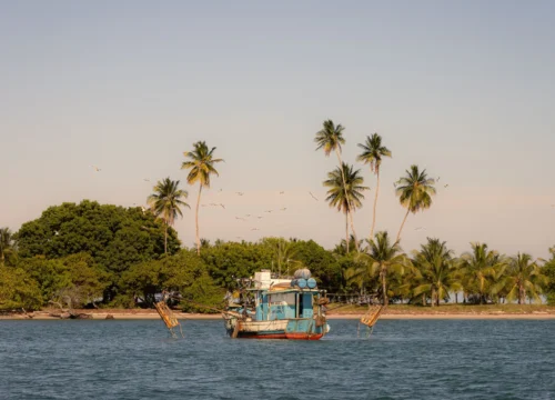Zanzibar: Your Perfect Beach Escape Zanzibar: Your Perfect Beach Escape