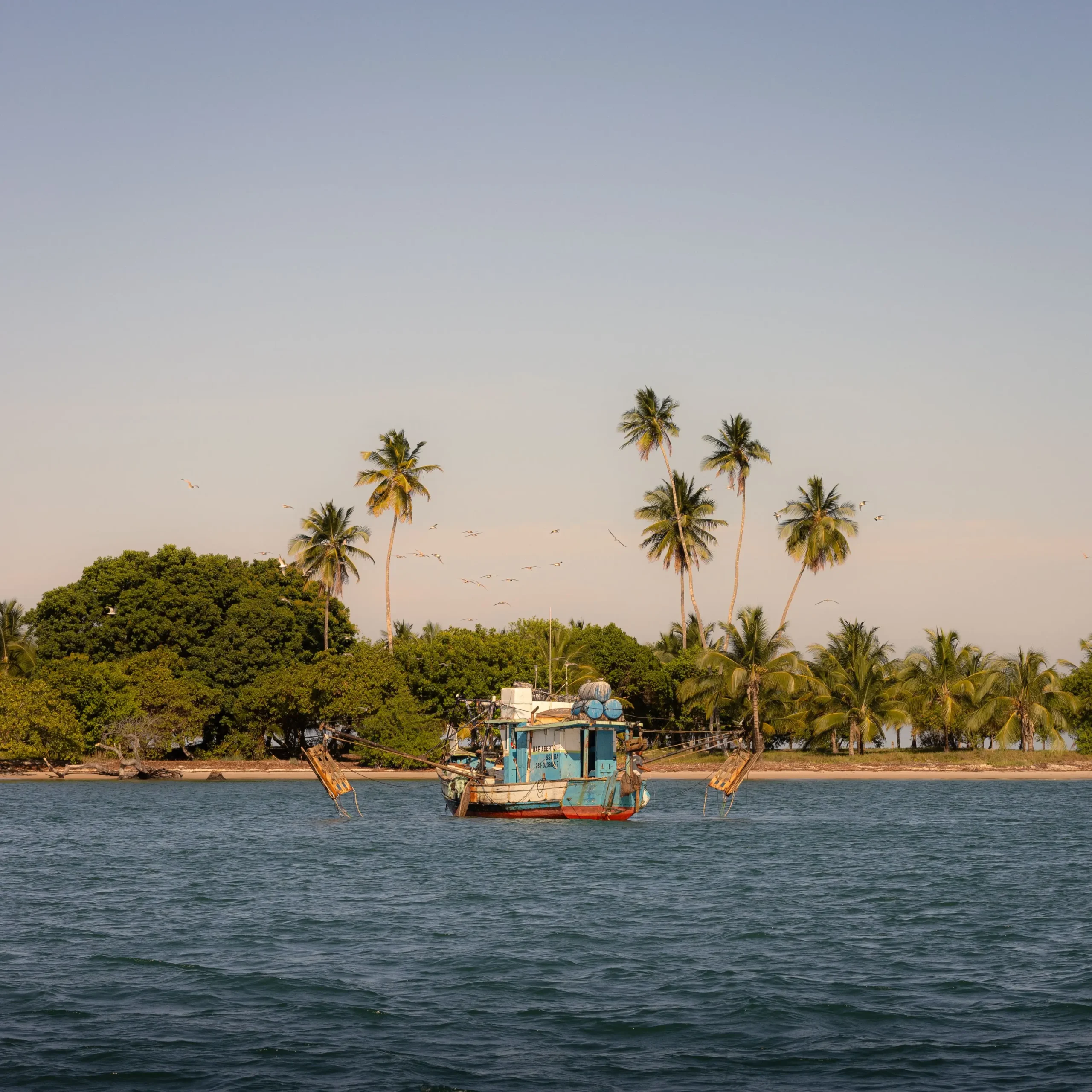 Your African Adventure Starts Here Zanzibar