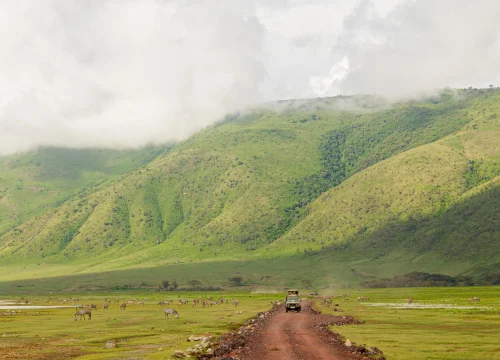 Ngorongoro